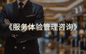 服务体验管理咨询