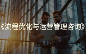 流程优化与运营管理咨询
