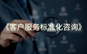 客户服务标准化咨询