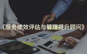 服务绩效评估与管理顾问
