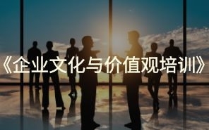 企业文化与价值观培训