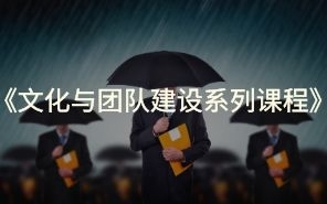 文化与团队建设系列课程