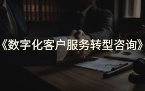 数字化客户服务转型咨询